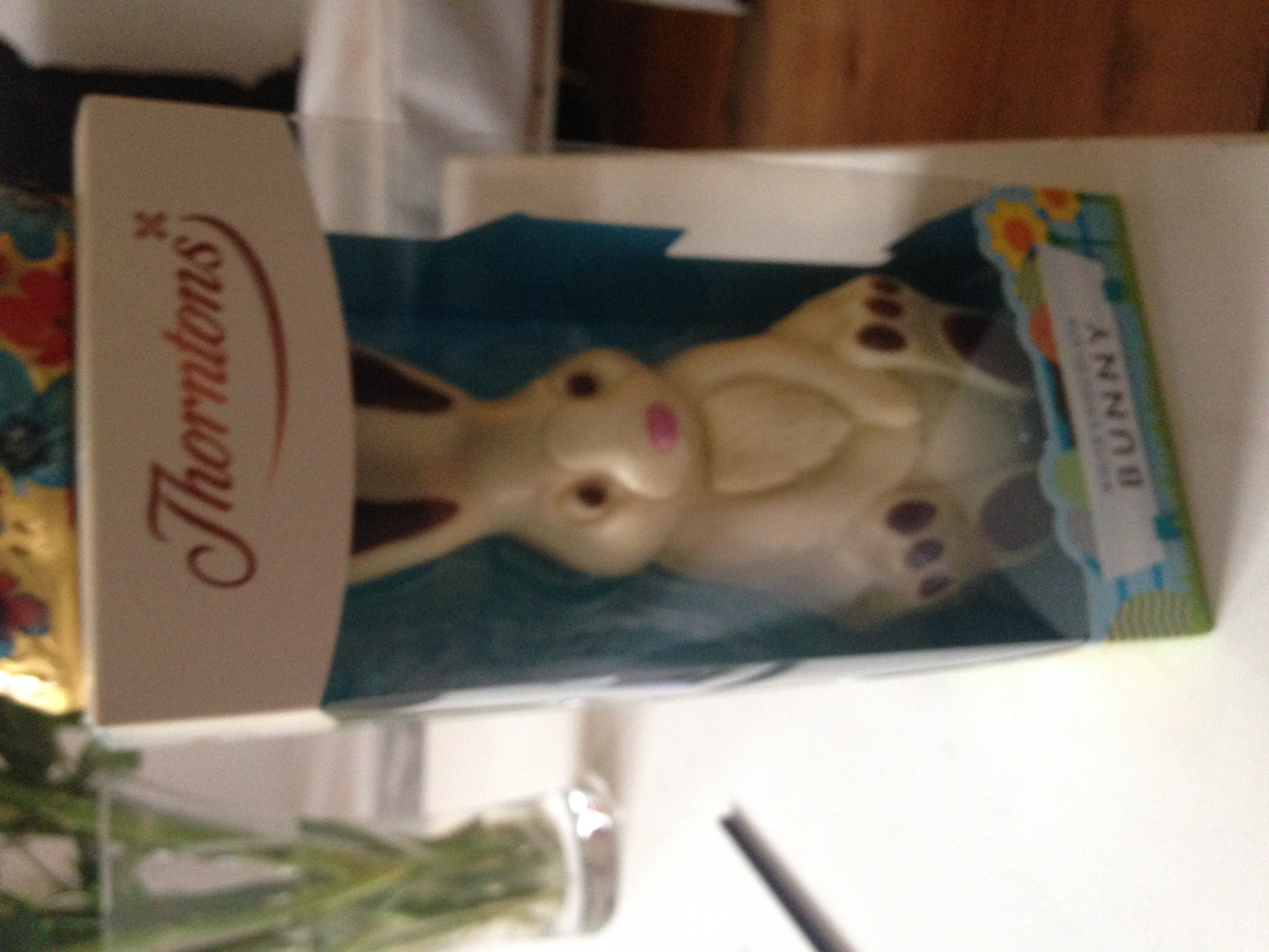  Easter Bunny Chocolate Image 