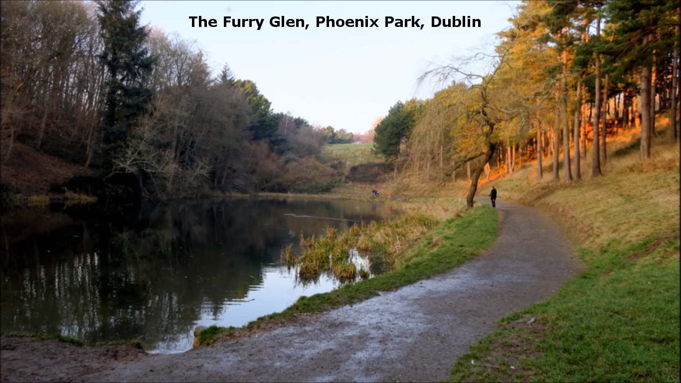 The Furry Glen Phoenix Park Dublin