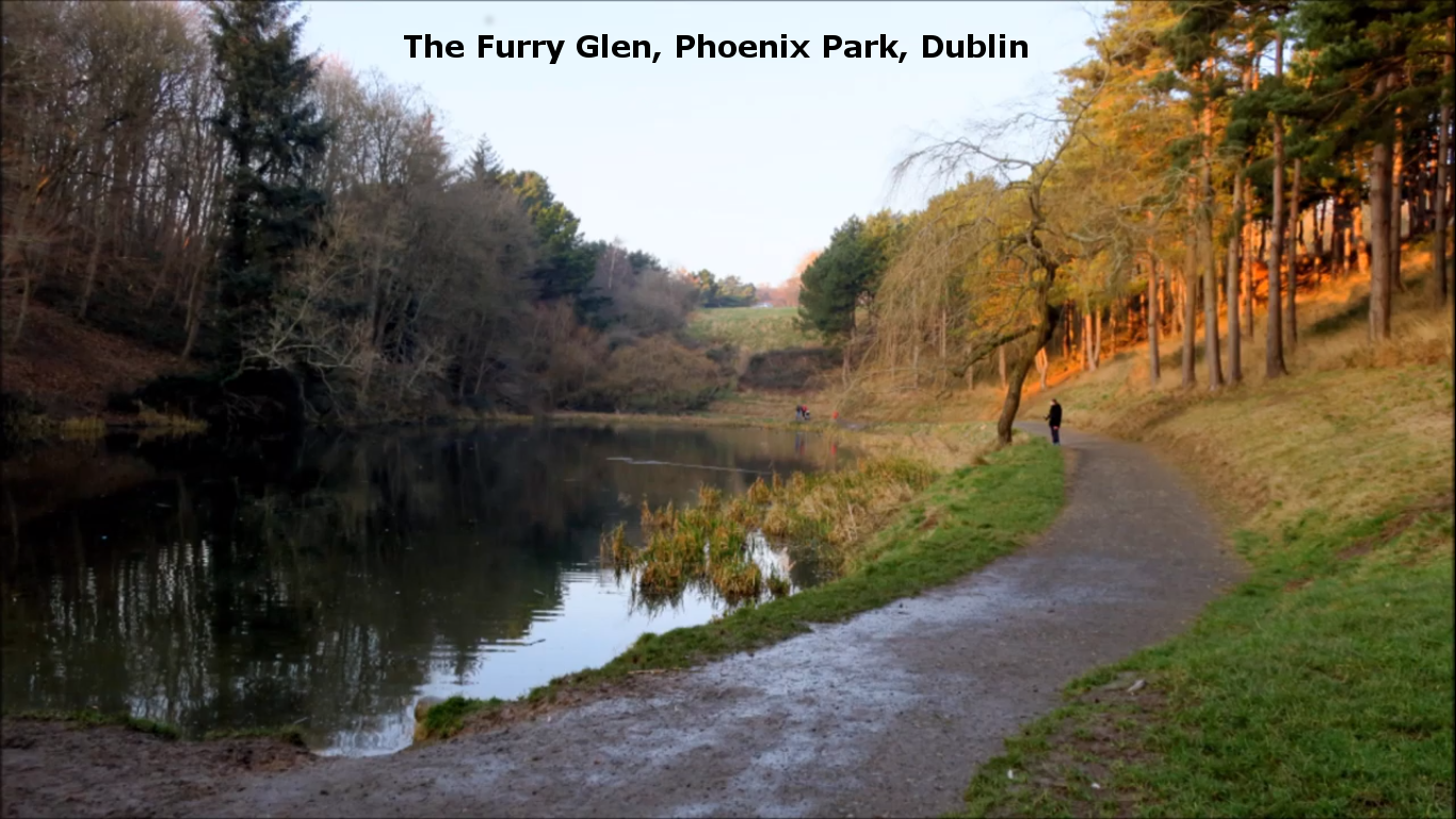  The Furry Glen, Phoenix Park, Dublin famed in poem and song was a notorious place for lascivious activities  