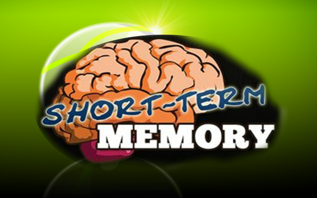 inventory_images/ShortTermMemory.png