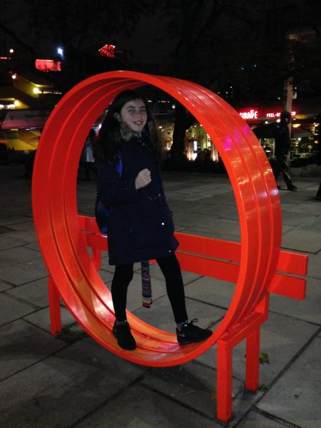 Hamster Wheel For Exercise in the home